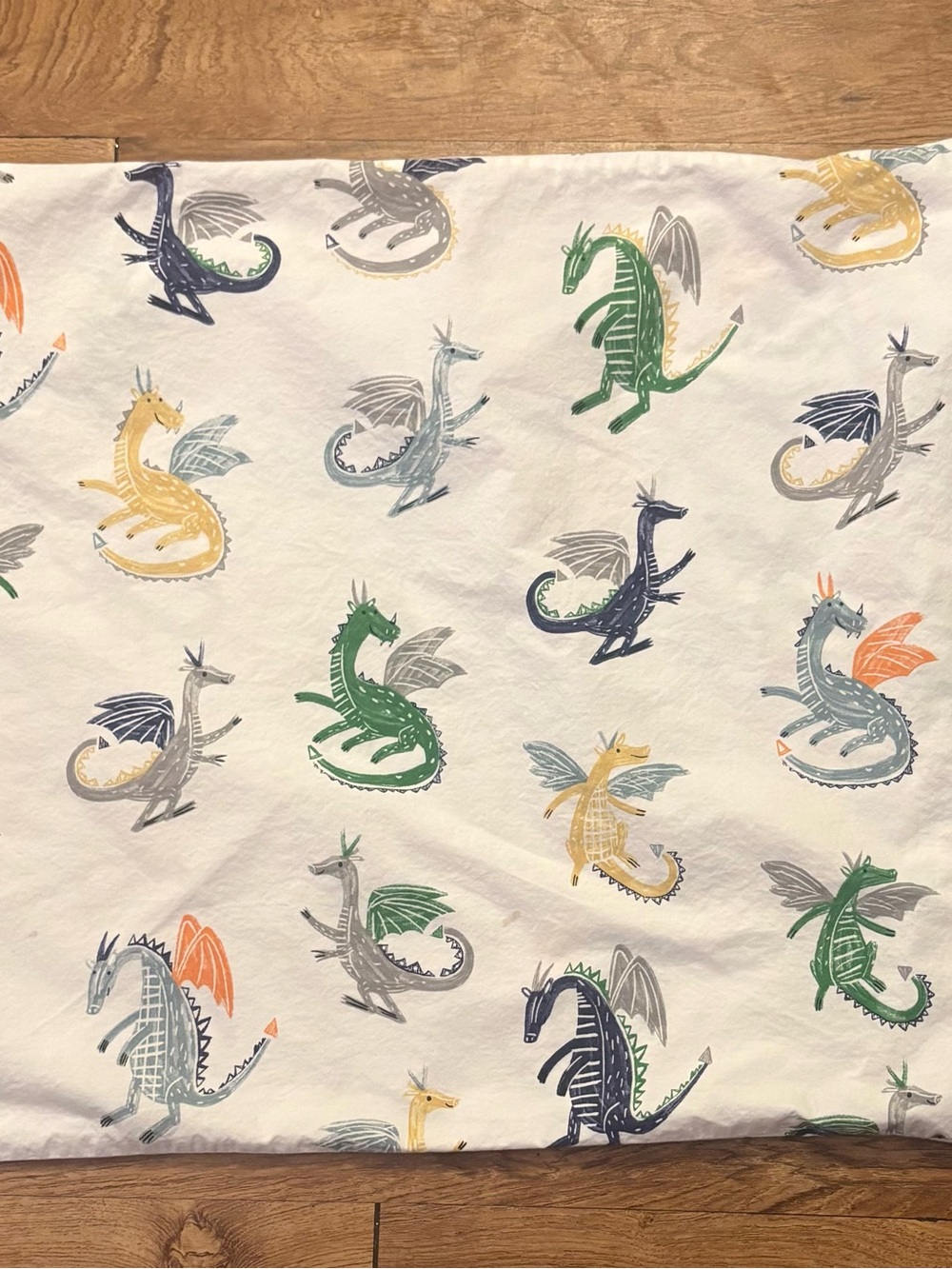 Dragon Pottery Barn cotton pillow case